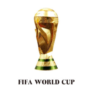 پازل فلزی سه بعدی Fifa World Cup
